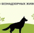 foto-2026-03-03-13-26-001 - Полтавское сельское поселение