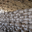 В Красноармейском районе из-за падения цен и перепроизводства могут сократить посевы риса - Голос Правды